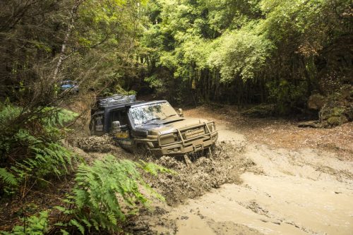 Tasmania Muddy Tracks Wholesale Automatic Transmissions