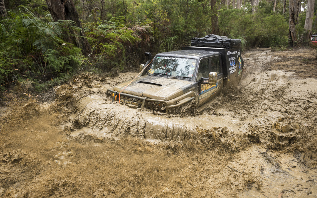 Tasmania Mud Bog