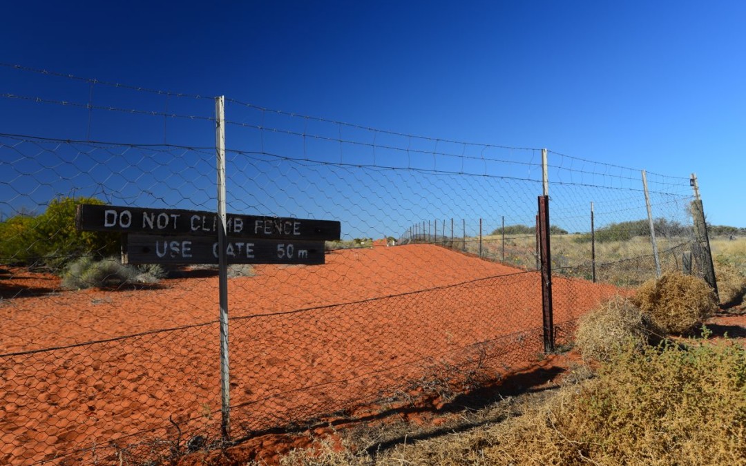 Simpson Desert Dog Fence