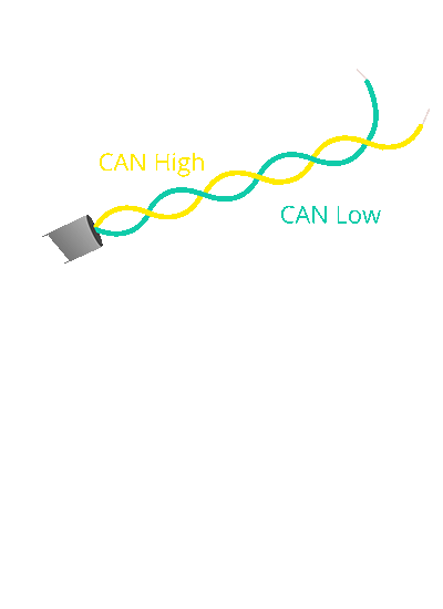 CANBUS Wiring